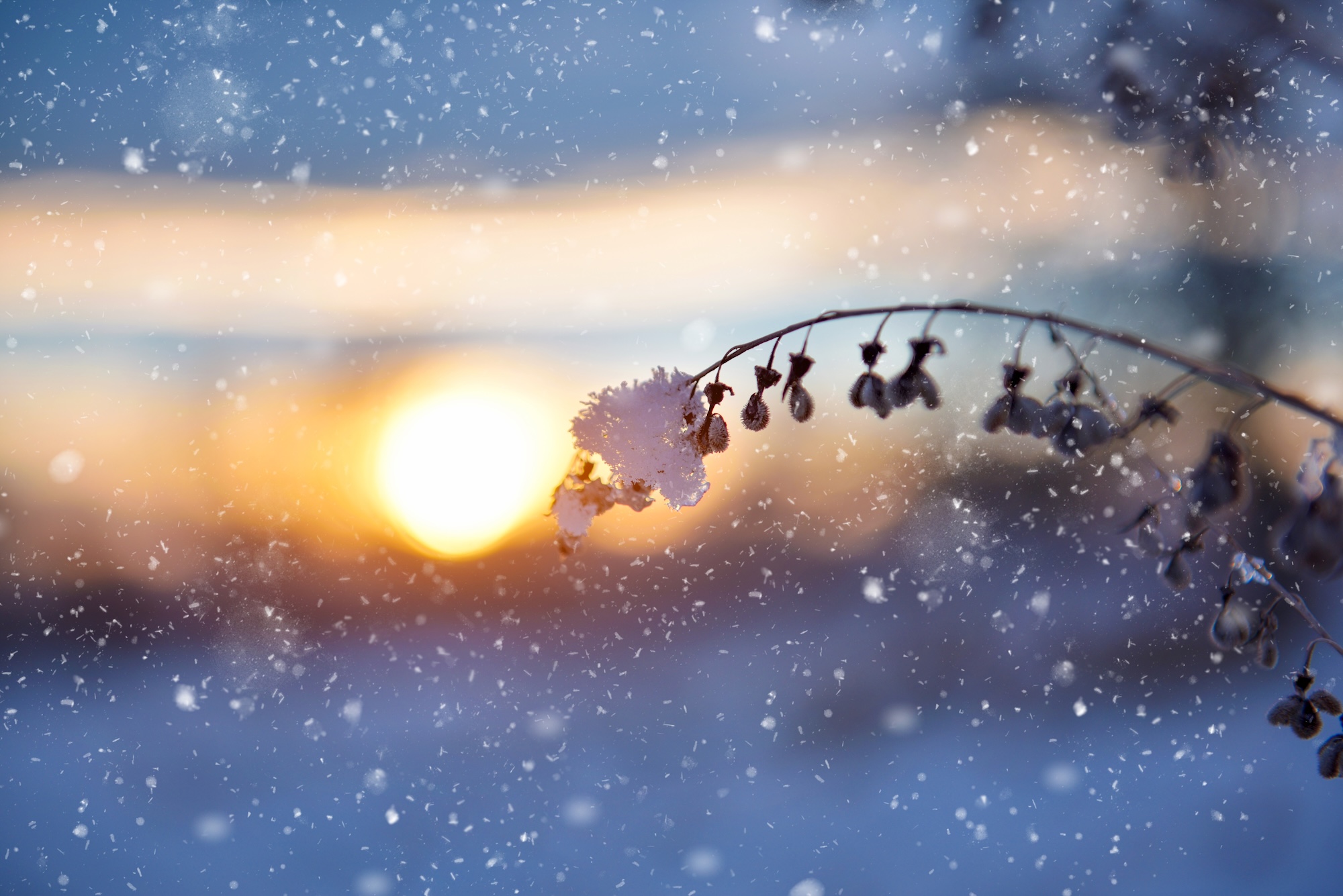 Snow and moisture affecting hearing aids during winter